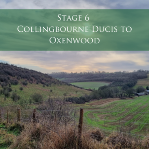 Stage 6 - Collingbourne Ducis to Oxenwood