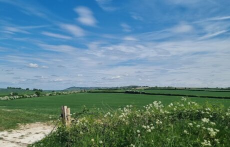 View across to Ham