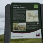 Pewsey Downs National Nature Reserve
