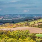 Lyde Cottage