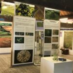 Crop Circle Visitor Centre & Exhibition Crop Circle Visitor Centre & Exhibition