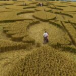 Crop Circle Visitor Centre & Exhibition