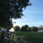 Suddene Park Farm