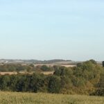 Suddene Park Farm