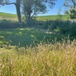 Wild Camping Wiltshire