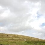 Strip Lynchets