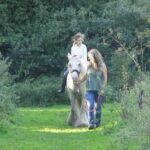 White Horse Gypsy Caravans White Horse Gypsy Caravans