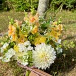 Bulb to Bunch