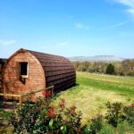 Totteridge Farm