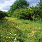 Hat Gate Nature Reserve Hat Gate Nature Reserve