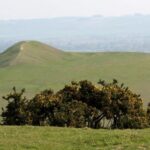Adam’s Grave, Walker’s Hill